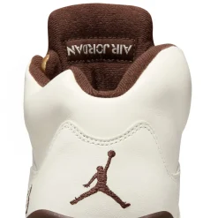 Air Jordan 5 Golden Ticket