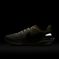 Air Zoom Pegasus 41 SP College Grey Anthracite