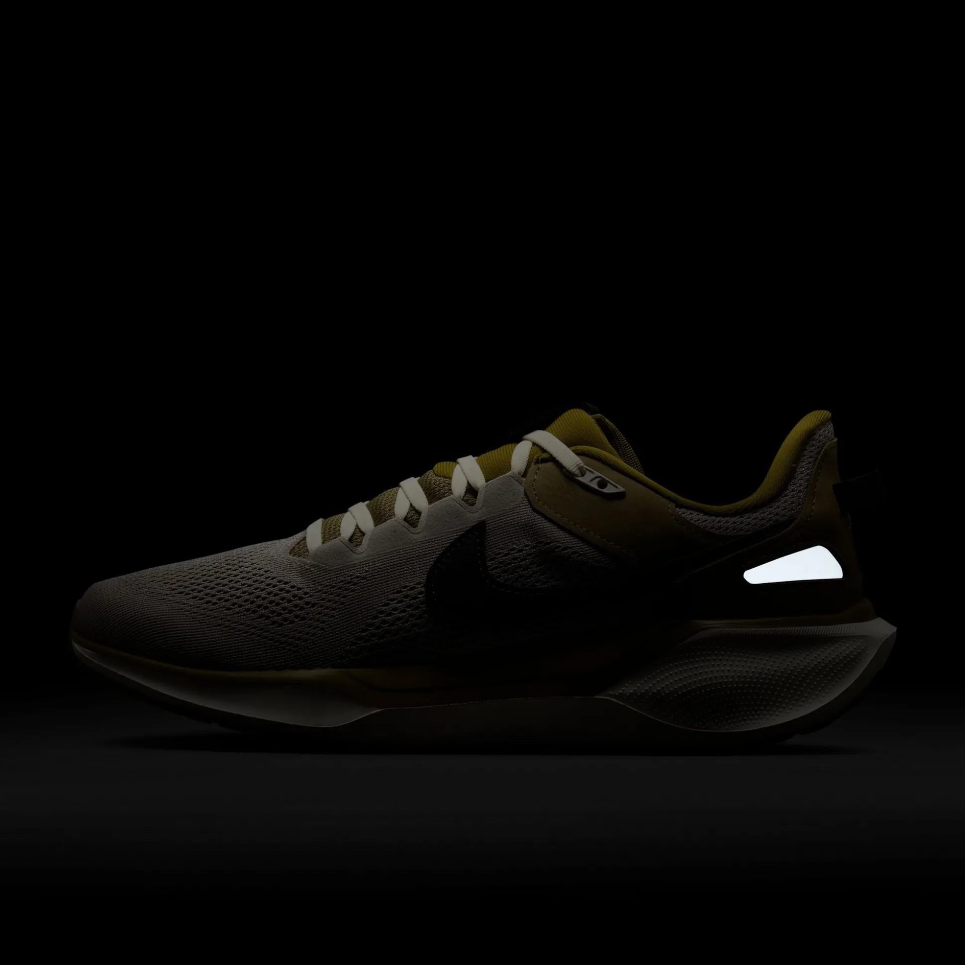 Air Zoom Pegasus 41 SP College Grey Anthracite