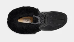 Butte Black