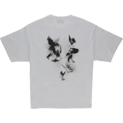 Colin White Doves Back