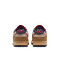 Dunk Low Sketch and Exploration