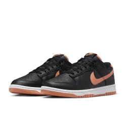 DV0831-004-Men Dunk Low Retro