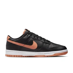 DV0831-004-Men Dunk Low Retro