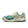 FZ2590-100-Men Air Pegasus 2005