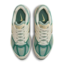 FZ2590-100-Men Air Pegasus 2005