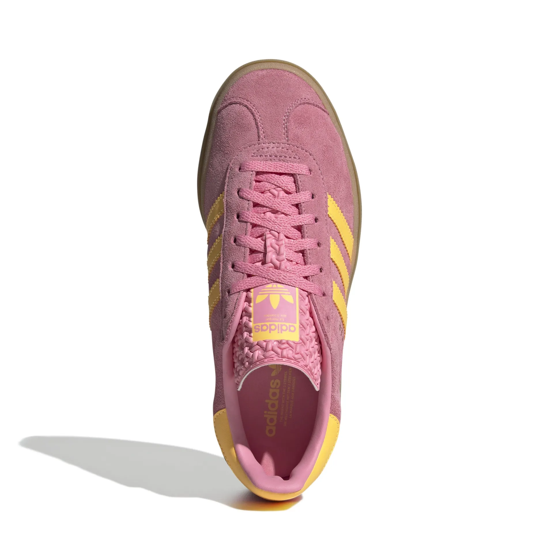 Gazelle Bold
