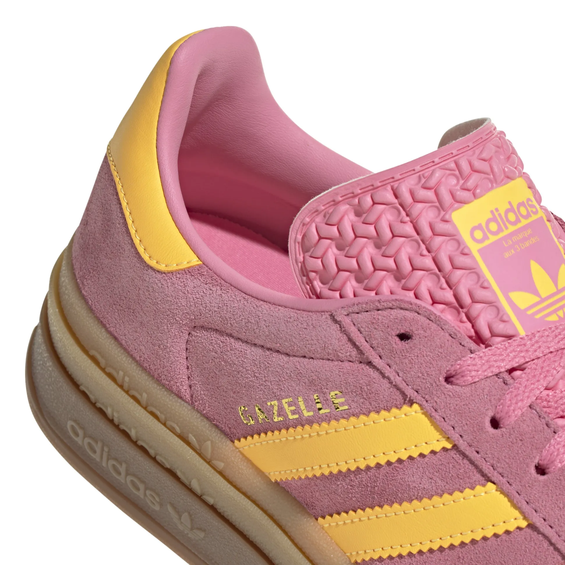 Gazelle Bold