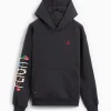 Jordan Artist Series By Darien Birks Fleece Hoodie