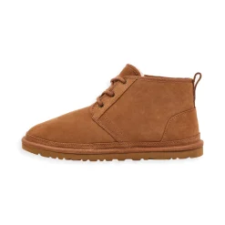 Neumel Chestnut