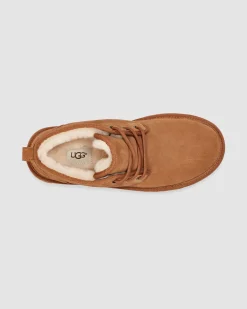 Neumel Chestnut