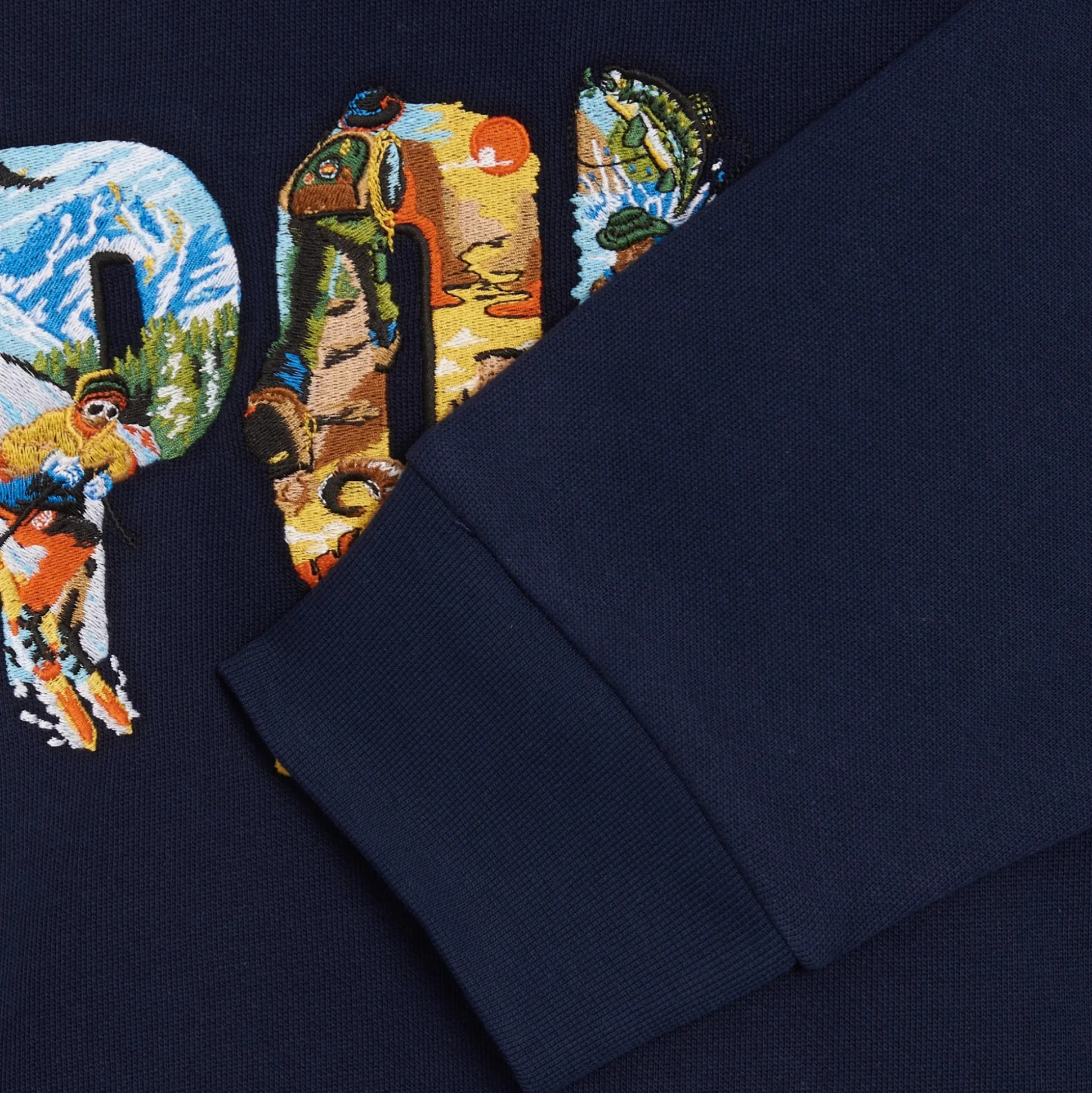 Novelty Embroidered Pullover Hoddie