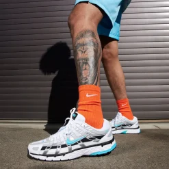 P-6000 Dusty Cactus