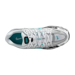 P-6000 Dusty Cactus