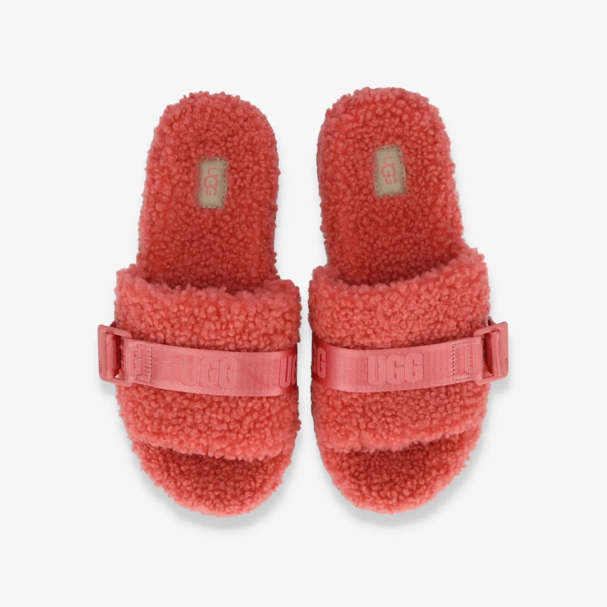 1113475-PBSM-Women Fluffita