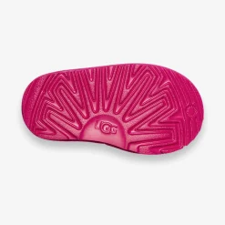 Tasman II Slipper Rock Rose TD
