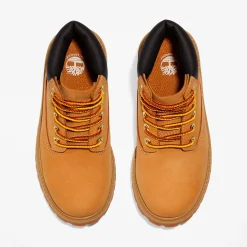 TB112709713-P.S Prm 6-Inch Waterproof Boot