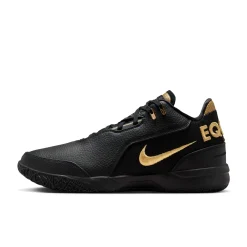 Zoom LeBron NXXT Gen AMPD Equity