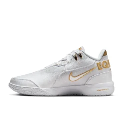 Zoom LeBron NXXT Gen AMPD Equity