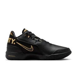 Zoom LeBron NXXT Gen AMPD Equity